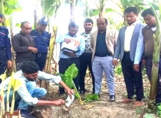 কেশবপুরে ভেজাল সারবিরোধী বিশেষ অভিযান