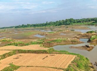 শীতের আগে গোমতী নদীতে পানির সংকটের কারণে কৃষির অনিশ্চয়তা