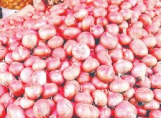 বাংলাদেশের পেঁয়াজ উৎপাদনে স্বাবলম্বী হওয়া সম্ভব