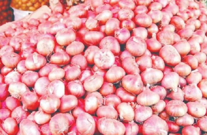 বাংলাদেশের পেঁয়াজ উৎপাদনে স্বাবলম্বী হওয়া সম্ভব