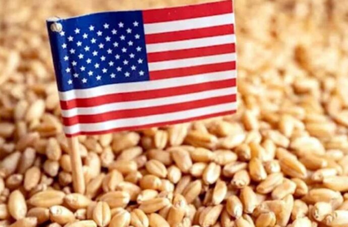 বাংলাদেশ সরকার যুক্তরাষ্ট্র থেকে ২ লাখ ২০ হাজার টন গম কিনবে