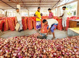 সরকারের সীমিত পেঁয়াজ আমদানির অনুমতি ঘোষণা