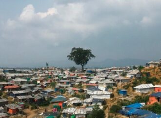 রোহিঙ্গা অনুপ্রবেশের মাত্রা আবার দ্রুত বৃদ্ধি পেলো এক মাসে ২,৭৩৮ নতুন প্রাণ প্রবাহিত