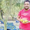 মিশ্র ফলের বাগান করে তরুণ শিক্ষকের সফলতা