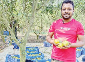 মিশ্র ফলের বাগান করে তরুণ শিক্ষকের সফলতা