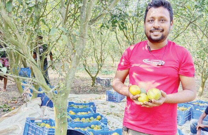মিশ্র ফলের বাগান করে তরুণ শিক্ষকের সফলতা
