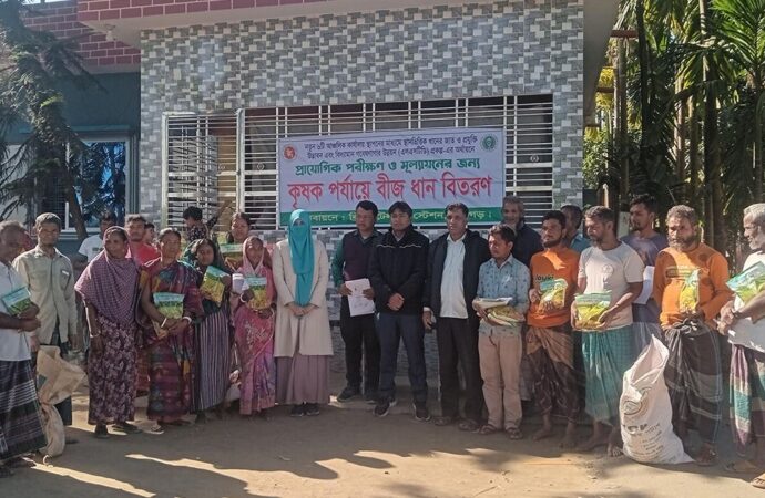 পঞ্চগড়ে ব্রি-ধানের নতুন জাতের বীজ বিতরণ