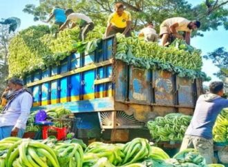 মধ্যস্বত্বভোগীরা দখল করে সবজির লাভ, কৃষকেরা ন্যায্য দাম থেকে বঞ্চিত