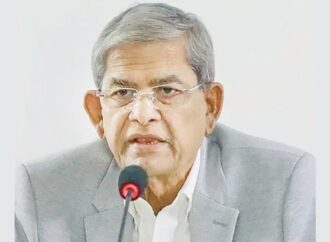 মব-হামলা ও ভাঙচুর নীলনকশার অংশ: মির্জা ফখরুল