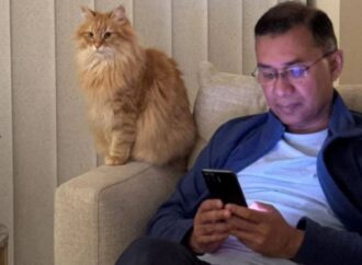 তারেক রহমানের সাথে দেশে ফিরছে তার পোষা বিড়াল ‘জেবু’