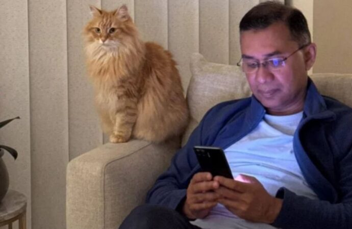 তারেক রহমানের সাথে দেশে ফিরছে তার পোষা বিড়াল ‘জেবু’