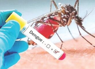 ডেঙ্গুতে দুইজনের মৃত্যু, হাসপাতালে ভর্তি ১৯৪