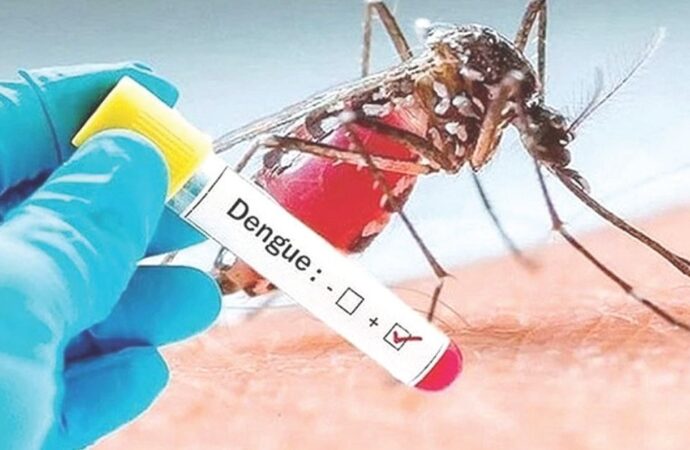ডেঙ্গুতে দুইজনের মৃত্যু, হাসপাতালে ভর্তি ১৯৪