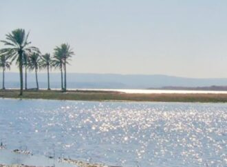 বিপন্ন ফোরাত নদী, তেলের বিনিময়ে পানি চায় ইরাক