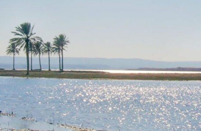 বিপন্ন ফোরাত নদী, তেলের বিনিময়ে পানি চায় ইরাক