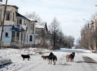 রাশিয়ার দাবি: ইউক্রেনের ৫ হাজার বর্গকিলোমিটার এলাকা দখল