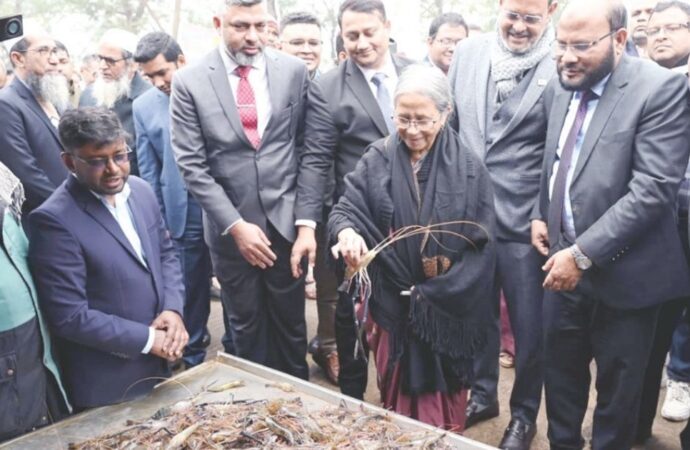 চিংড়ি রপ্তানিতে আন্তর্জাতিক মান অনুসরণের গুরুত্ব গুরুত্বারোপ