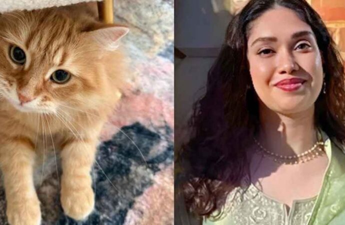 প্রিয় জেবুকে নিয়ে জাইমা রহমানের আবেগপূর্ণ সামাজিক পোস্ট