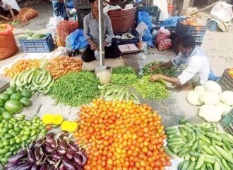 বরিশালে সবজির দাম কমলেও কাঁচামরিচ ও শসার দাম বেড়েছে