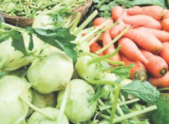 চাল-সবজির দাম কমলেও টমেটো ও শসার চাহিদা জেগে উঠেছে