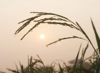 উত্তরাঞ্চলে জলবায়ু পরিবর্তনের প্রভাব: অস্বাভাবিক আবহাওয়া এবং উদ্বেগজনক পরিবর্তন