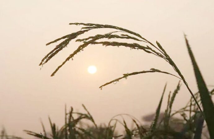 উত্তরাঞ্চলে জলবায়ু পরিবর্তনের প্রভাব: অস্বাভাবিক আবহাওয়া এবং উদ্বেগজনক পরিবর্তন