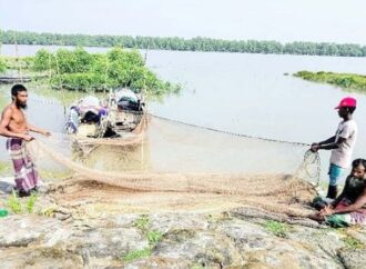 সুন্দরবনের বনজীবীরা বন ছাড়তে বাধ্য হচ্ছেন বিকল্প জীবিকার সন্ধানে