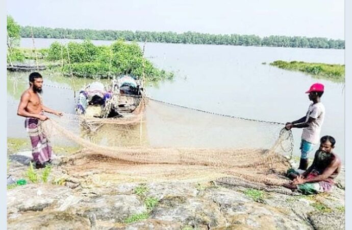 সুন্দরবনের বনজীবীরা বন ছাড়তে বাধ্য হচ্ছেন বিকল্প জীবিকার সন্ধানে