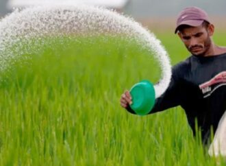 সরকারের সিদ্ধান্ত: ২ লাখ ১০ হাজার টন সার ক্রয়ে ব্যয় হবে ১৩৭০ কোটি টাকা