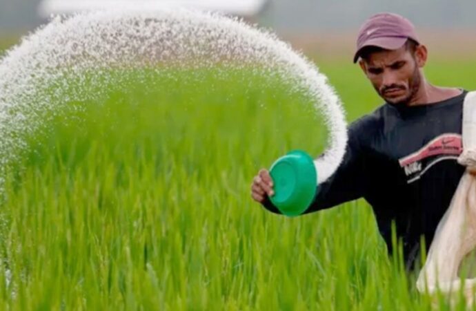 সরকারের সিদ্ধান্ত: ২ লাখ ১০ হাজার টন সার ক্রয়ে ব্যয় হবে ১৩৭০ কোটি টাকা
