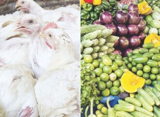 রোজার আগে ভোগাচ্ছে দাম: লেবু, কাঁচামরিচ, মুরগি এখন বেশি দামি