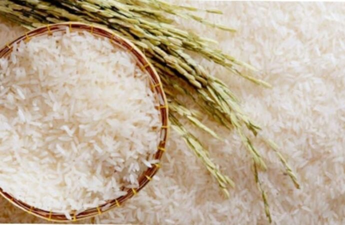 সুগন্ধি চাল রপ্তানির সময়সীমা ৩০ এপ্রিল পর্যন্ত বর্ধিত