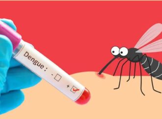 একদিনে আরও ৩১ জন ডেঙ্গু আক্রান্ত