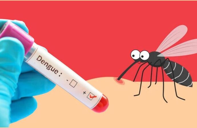 একদিনে আরও ৩১ জন ডেঙ্গু আক্রান্ত