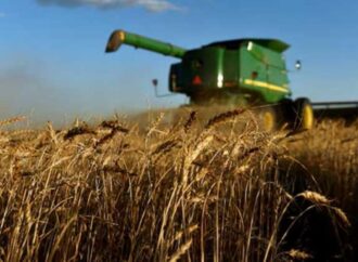 বিশ্ববাজারে সরবরাহ বৃদ্ধির কারণে গম, সয়াবিন ও ভুট্টার দাম কমল