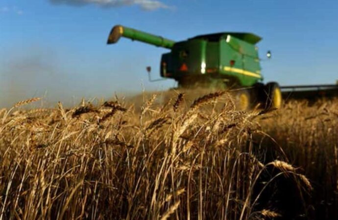 বিশ্ববাজারে সরবরাহ বৃদ্ধির কারণে গম, সয়াবিন ও ভুট্টার দাম কমল