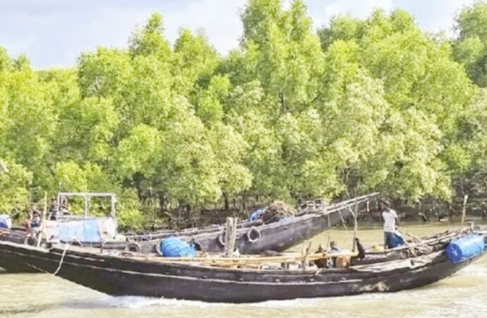 সুন্দরবন উপকূলে দস্যু তাণ্ডব মোকাবেলায় জেলেরা আতঙ্কে, মাছ ধরা বন্ধের আশঙ্কা