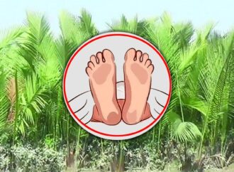 গোলপাতার খেতে বৃদ্ধের রক্তাক্ত মৃতদেহ উদ্ধার