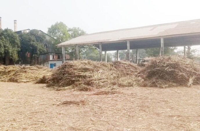 আখের অভাবে পঞ্চগড়ে চালু হচ্ছে না পঞ্চগড় সুগার মিল