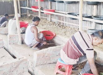 নওগাঁয়ে জনপ্রিয় হয়ে উঠছে কালো সৈনিক পোকা, প্রোটিনের বিকল্প হিসেবে নতুন দিগন্ত