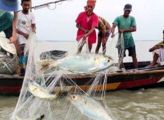 পদ্মা-মেঘনায় দুই মাস ইলিশ ধরা বন্ধ