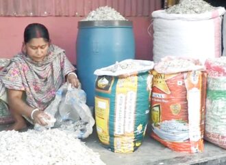 মাছের উচ্ছিষ্ট আঁশে কর্মসংস্থান ও বিদেশি অর্থায়ন