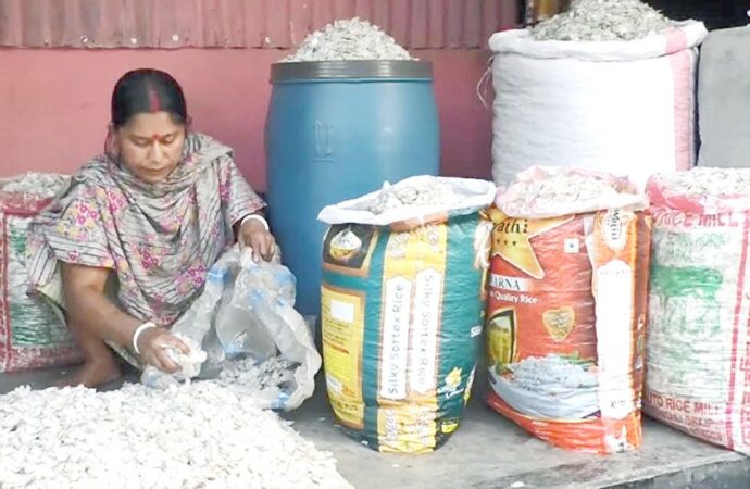 মাছের উচ্ছিষ্ট আঁশে কর্মসংস্থান ও বিদেশি অর্থায়ন