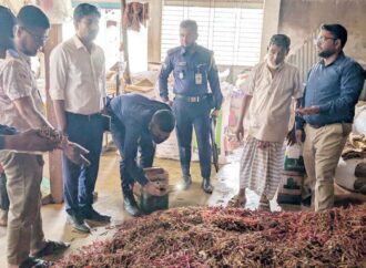 নষ্ট মরিচের মিশ্রণে মসলা তৈরিতে কুমিল্লায় জরিমানা ২ লাখ ৫ হাজার টাকা
