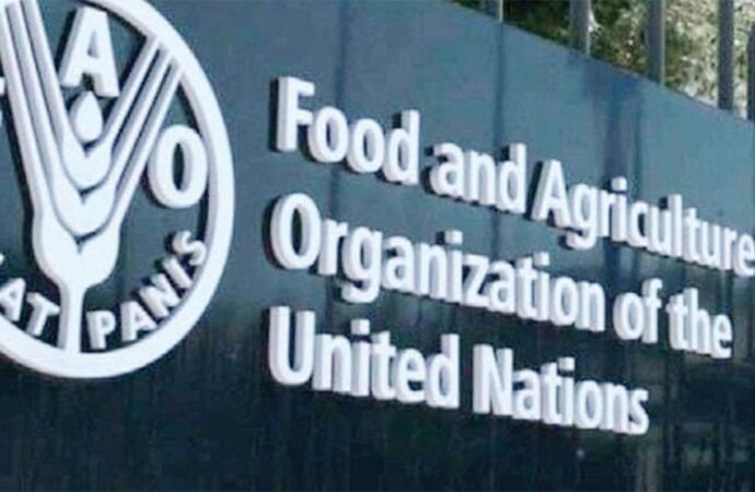 মধ্যপ্রাচ্যের অস্থিরতা ও যুদ্ধের কারণে বিশ্বজুড়ে খাদ্য ও জ্বালানি মূল্যবৃদ্ধি