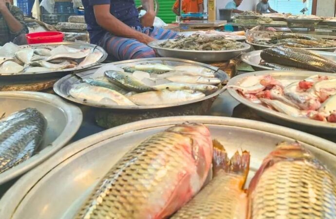 ঢাকার মাছের বাজারে ক্রেতাদের দুর্ভোগ: ২০০ টাকার নিচে কোনো মাছ মিলছে না