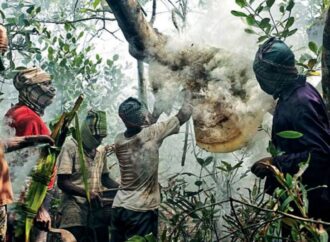 বনদস্যু আতঙ্কে বন্ধ মধু সংগ্রহ মৌসুম
