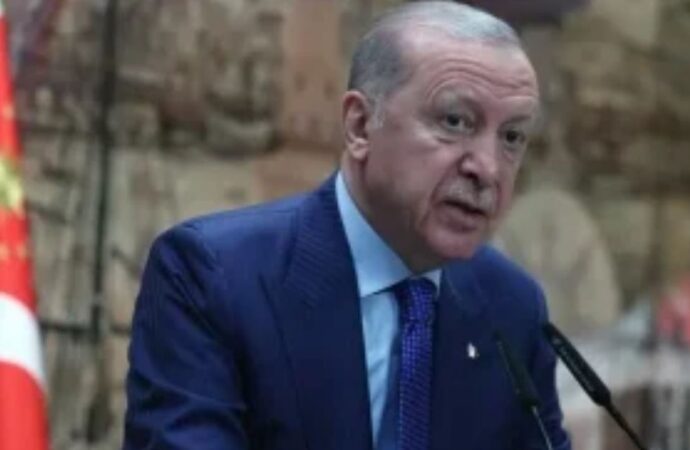 ফিলিস্তিন-লেবাননে হামলা, এরদোয়ানের সামরিক উসকানি সতর্কতা