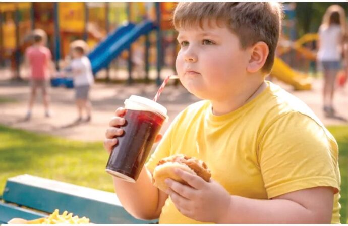 বিশ্বজুড়ে শিশুদের স্থূলতা ও অতিরিক্ত ওজনের ঝুঁকি বাড়ছে