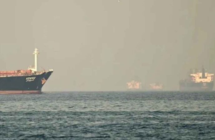 হরমুজ প্রণালি বন্ধে পচনশীল খাদ্য ও জীবিত পশুবাহী কনটেইনার আটকে পড়েছে সমুদ্রে